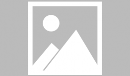 漫画蝴蝶图片,自然界的色彩舞者